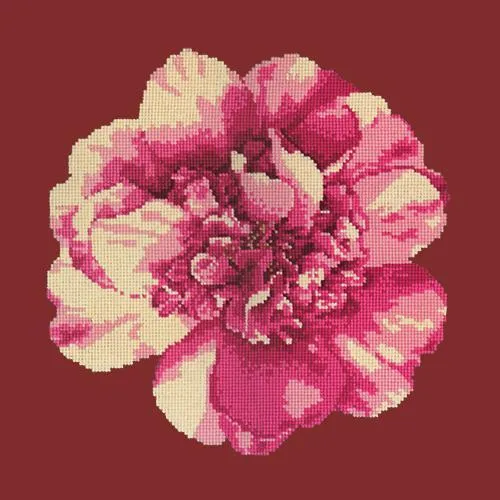 Camellia Blossom